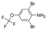 3,5-二溴-4-氨基三氟甲氧基苯